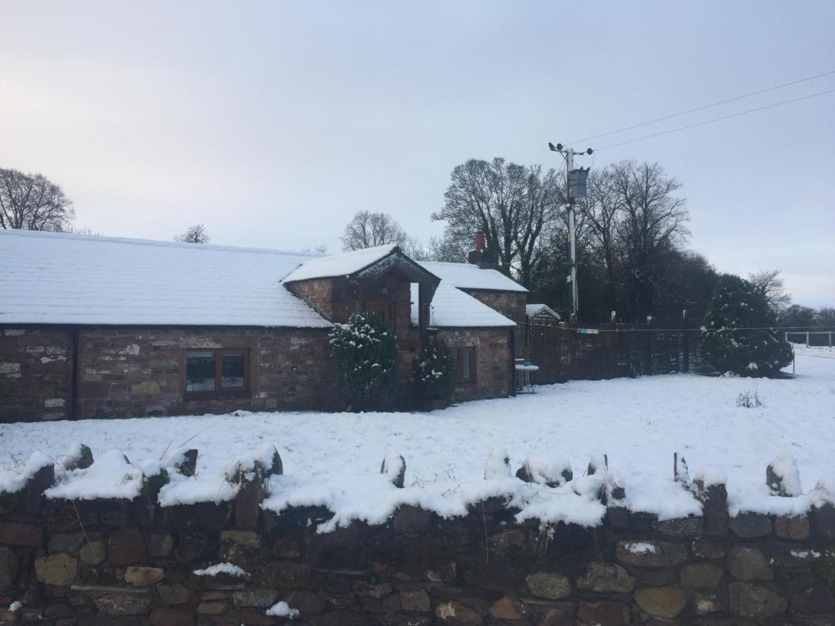 The Nook Cottage Carlisle  Exteriör bild